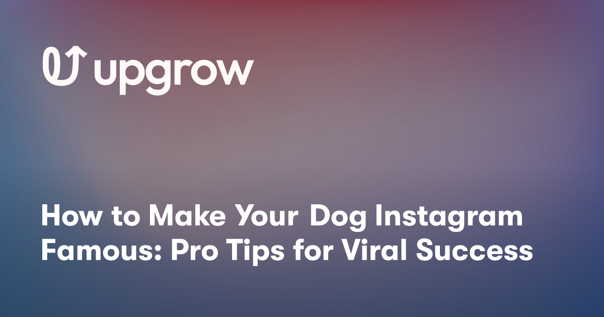 How to Make Your Dog Instagram Famous Pro Tips for Viral Success