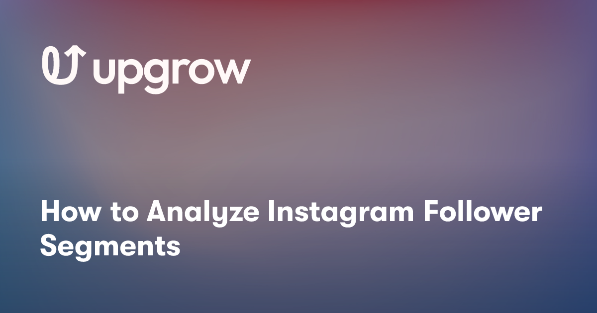 How to Analyze Instagram Follower Segments