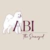 abithesamoyed's TikTok profile picture