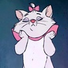 chas436's TikTok profile picture
