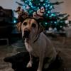 chelseaa912's TikTok profile picture