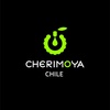 cherimoya_cl's TikTok profile picture