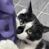 gfbot's TikTok profile picture