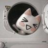 hopping.bunny's TikTok profile picture