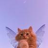 iamdena3's TikTok profile picture