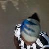 lagrinta144's TikTok profile picture