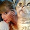 libraryofnat's TikTok profile picture