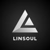 linsoulaudiohifi's TikTok profile picture