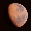 little.curiosity's TikTok profile picture
