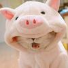 ralumalan's TikTok profile picture