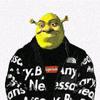 shrekhomie's TikTok profile picture