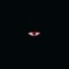 the_devil_hides's TikTok profile picture
