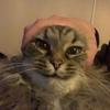 viralinneros's TikTok profile picture