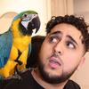 yasvidz's TikTok profile picture